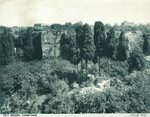 Scheda N. 12017 Siracusa - Latomia Casale (Edizioni Brogi)