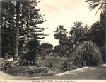 Scheda N. 10860 Palermo - Villa Tasca - Veduta del Parco (Ed.ni Brogi)