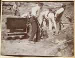Scheda Selinunte - Campagna di scavi 1896