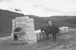 Scheda Enna - Ente di Colonizzazione - Bevai e Case coloniche