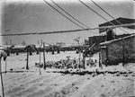 Scheda Bronzetti - Orto Zisa sotto la neve