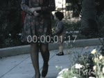 Scheda Famiglia Fiammella - bobina 15