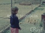Scheda Famiglia Nicosia - bobina 23