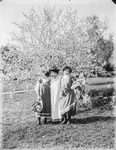 Scheda Virginia e le sue amiche