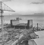Scheda Cantieri navali - Varo del bacino