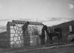 Scheda Ente di Colonizzazione - Caltanissetta - Borgo Gattuso