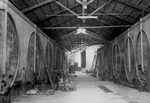 Scheda Stabilimento Cantine Florio
