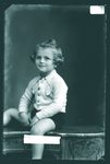 Scheda Bambina