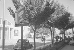 Scheda FIAT autoveicoli - Fiera VII