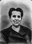 Scheda Rosina Bronzetti - Riproduzione