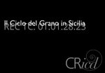 Scheda Il ciclo del grano in Sicilia