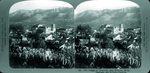 Scheda 25. The village of Monreale. near Palermo. Sicily