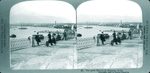 Scheda 47. The great Harbor of Syracuse. Sicily