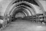 Scheda Marsala - Cantine Florio