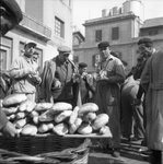Scheda Venditore di pane - Cantiere navale