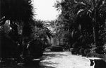 Scheda Bagheria - Villa Cirrincione - Viale