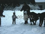 Scheda Famiglia Pitò - bobina 03