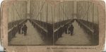 Scheda 3417  -Brooklyn Bridge  -Scene of the accident, May 30th 1883, U.S.A.