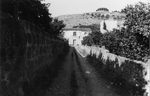 Scheda Bagheria - Case Dotto - Viale d'ingresso