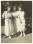 Scheda Donne