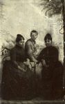 Scheda Gruppo
