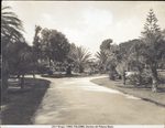 Scheda N. 13983 Palermo. Giardino del Palazzo Reale (Ed.ni Brogi)