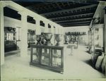 Scheda N. 587 Palermo - Museo - Sala vasi etruschi (G. Incorpora - Palermo)