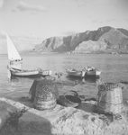Scheda Mondello - I ricci