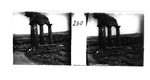 Scheda Girgenti - Valle dei Templi - Tempio di Castore e Polluce