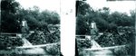 Scheda Palermo - Orto Botanico