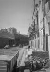 Scheda Palermo - Via Malaspina - Pellerito