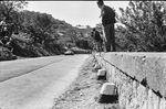 Scheda Targa Florio