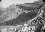 Scheda Utveggio - Pineta San Giuliano