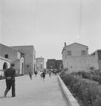 Scheda Caltanissetta - Ente di colonizzazione