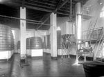 Scheda Arenella - Fabbrica Chimica - Tinaie