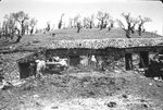 Scheda Azienda Bronte (CT) - Ente di colonizzazione - Abituri di contadini