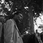 Scheda Cantastorie: Genovese