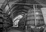 Scheda Stabilimento Cantine Florio - Interni