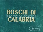 Scheda Documentari - Boschi di Calabria