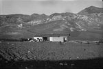 Scheda Ente di Colonizzazione del Latifondo Siciliano - Ribera - Masseria
