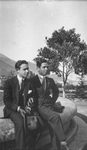 Scheda Eugenio e Pino Bronzetti