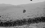 Scheda Ente di Colonizzazione - Caltanissetta - Borgo e poderi
