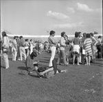 Scheda Manifestazione Pop 1970