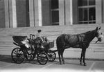 Scheda Cocchiere e carrozza