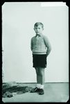 Scheda Bambino