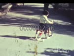 Scheda Famiglia Mannone - bobina 03