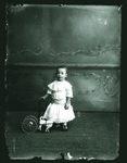 Scheda Bambino