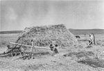 Scheda Agrigento - Ente di colonizzazione - Formazione di una bica di fieno