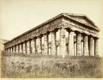 Scheda N. 8631 ord. 40 - Segesta - Tempio
