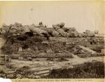 Scheda N. 353 - Selinunte - Tempio di Ercole nell'Acropoli